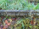 image of grave number 476897